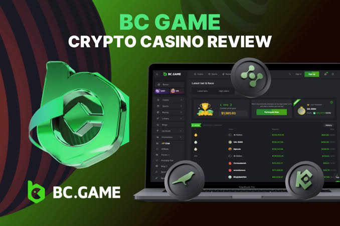 Complete Guide to BC.Game Mirror Registration Process